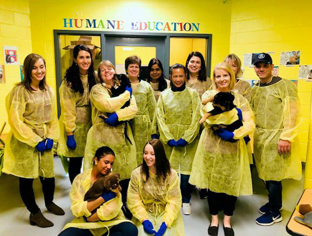 Group of BAM employees posing with animals at a humane society