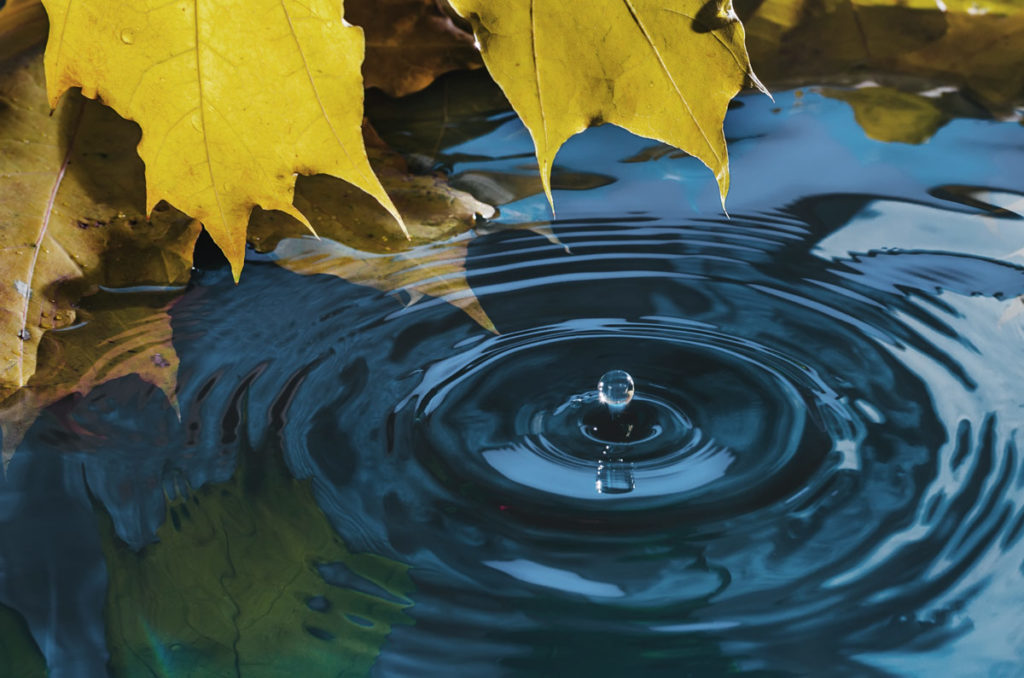 Close-up of a water droplet falling into water and creating a ripple