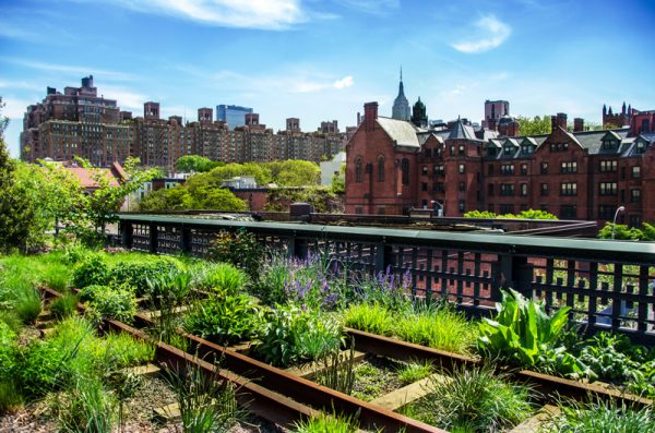 Community garden