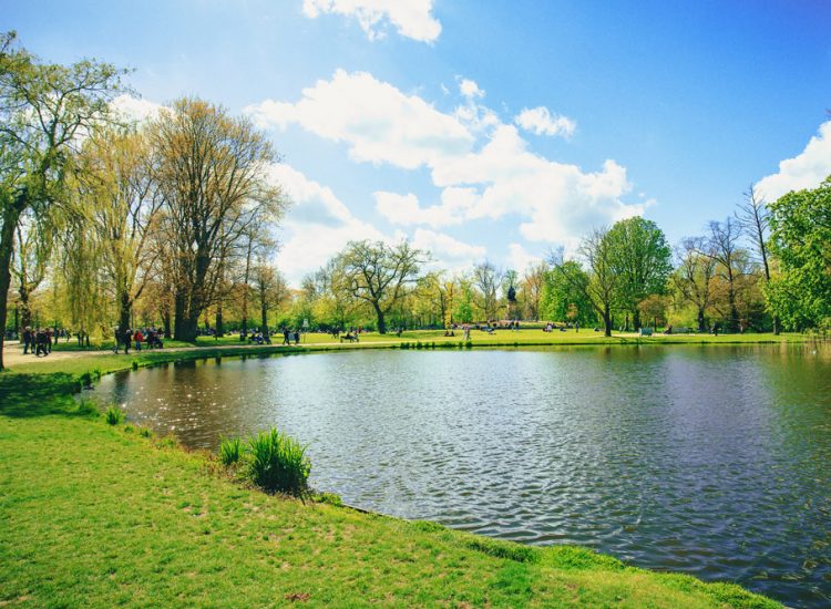 Small pond surrounded by a grassy park, on a sunny day