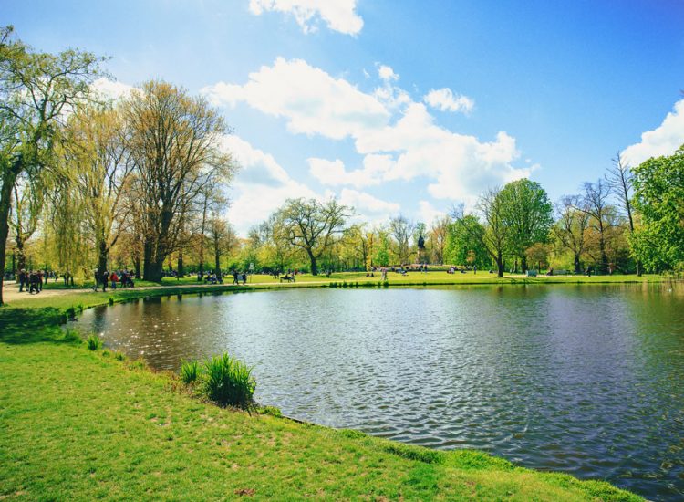 homepage-community Small pond surrounded by a grassy park, on a sunny day